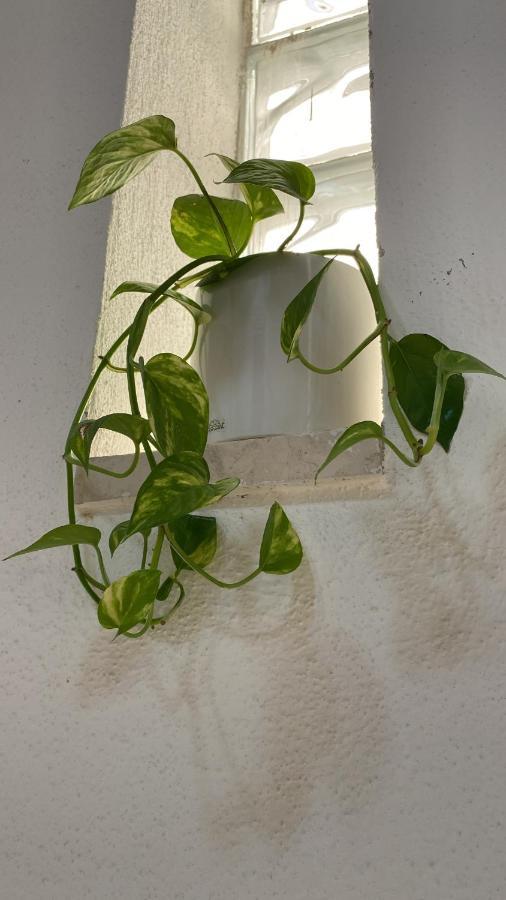 Locanda Le Ginestre Cantalupo in Sabina Exterior photo
